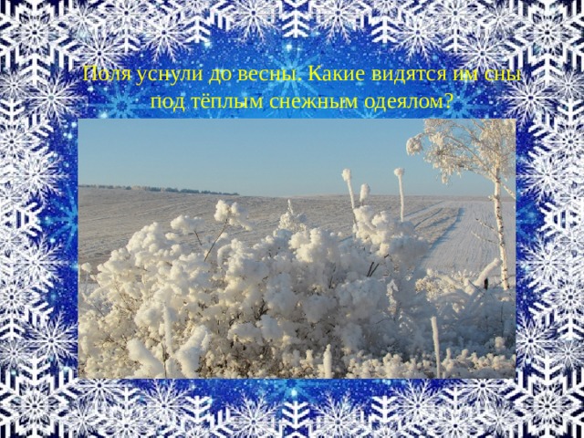 Поля уснули до весны. Какие видятся им сны под тёплым снежным одеялом? 