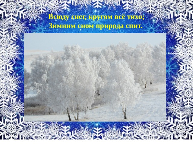 Всюду снег, кругом всё тихо; Зимним сном природа спит. 