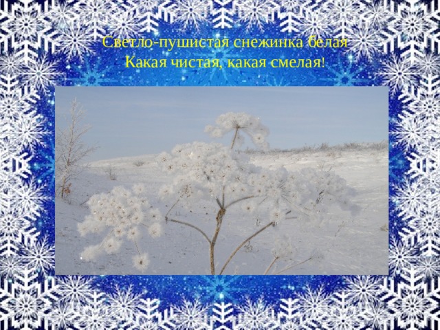 Светло-пушистая снежинка белая Какая чистая, какая смелая ! 