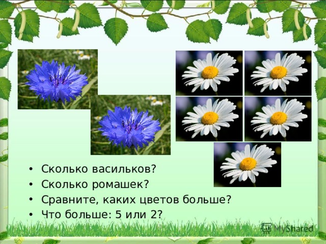 Сколько васильков? Сколько ромашек? Сравните, каких цветов больше? Что больше: 5 или 2? 