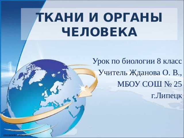 ТКАНИ И ОРГАНЫ  ЧЕЛОВЕКА Урок по биологии 8 класс Учитель Жданова О. В., МБОУ СОШ № 25 г.Липецк 