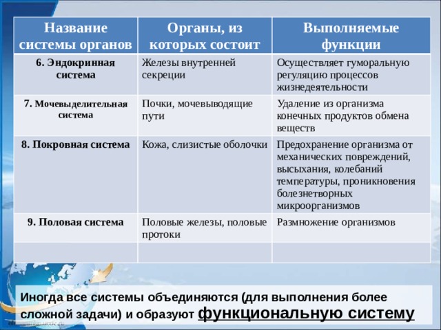 Название системы органов Органы, из которых состоит 6. Эндокринная система Железы внутренней секреции 7. Мочевыделительная система Выполняемые функции Почки, мочевыводящие пути 8. Покровная система Осуществляет гуморальную регуляцию процессов жизнедеятельности Кожа, слизистые оболочки Удаление из организма конечных продуктов обмена веществ 9. Половая система Предохранение организма от механических повреждений, высыхания, колебаний температуры, проникновения болезнетворных микроорганизмов Половые железы, половые протоки Размножение организмов Иногда все системы объединяются (для выполнения более сложной задачи) и образуют функциональную систему 