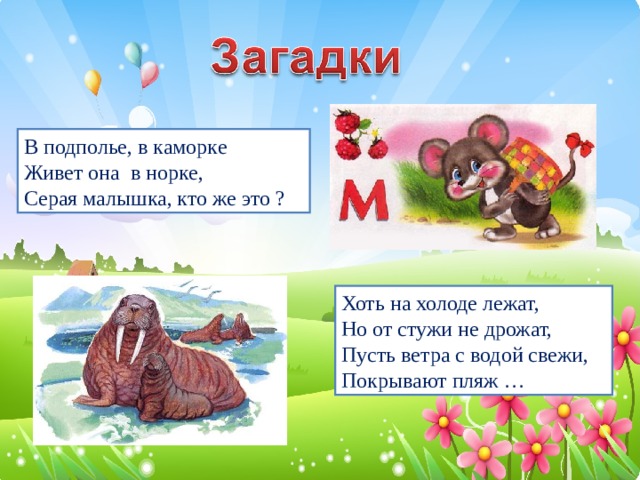 В подполье, в каморке Живет она в норке, Серая малышка, кто же это ? Хоть на холоде лежат, Но от стужи не дрожат, Пусть ветра с водой свежи, Покрывают пляж …