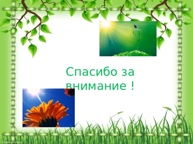 Спасибо за внимание !