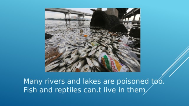 Many rivers and lakes are poisoned too. Fish and reptiles can.t live in them. 