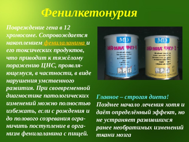 Фенилкетонурия Повреждение гена в 12 хромосоме. Сопровождается накоплением фенилаланина и его токсических продуктов, что приводит к тяжёлому поражению ЦНС, проявля-ющемуся, в частности, в виде нарушения умственного развития. При своевременной диагностике патологических изменений можно полностью избежать, если с рождения и до полового созревания огра-ничить поступление в орга-низм фенилаланина с пищей.  Главное – строгая диета! Позднее начало лечения хотя и даёт определённый эффект, но не устраняет развившихся ранее необратимых изменений ткани мозга 