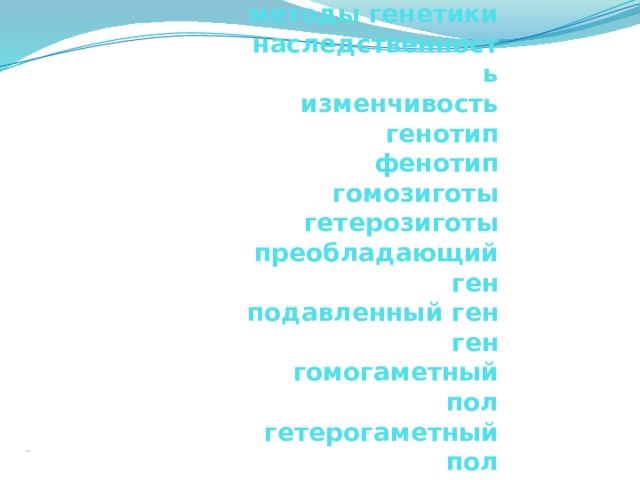 Аллель  генетика  методы генетики  наследственность  изменчивость  генотип  фенотип  гомозиготы  гетерозиготы  преобладающий ген  подавленный ген  ген  гомогаметный пол  гетерогаметный пол    