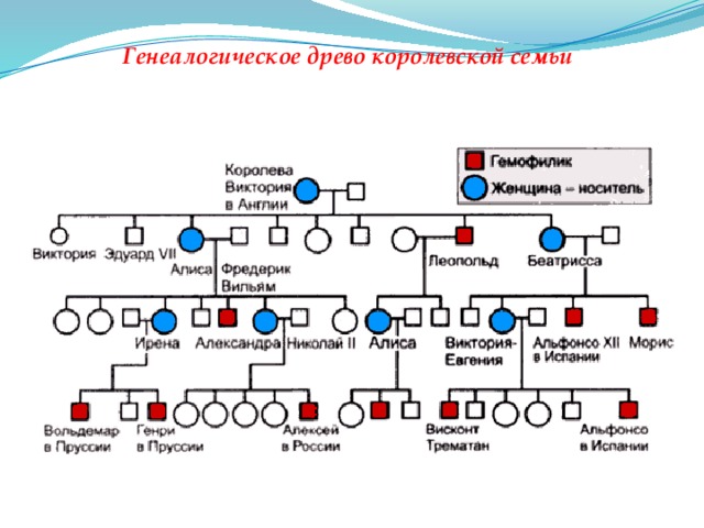 Генеалогическое древо королевской семьи 