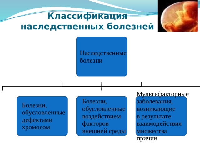 Классификация наследственных болезней 