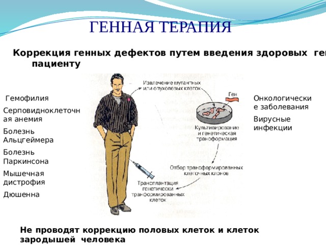  ГЕННАЯ ТЕРАПИЯ  Коррекция генных дефектов путем введения здоровых генов пациенту   Гемофилия Онкологические заболевания Серповидноклеточная анемия Вирусные инфекции Болезнь Альцгеймера Болезнь Паркинсона Мышечная дистрофия Дюшенна Не проводят коррекцию половых клеток и клеток зародышей человека 