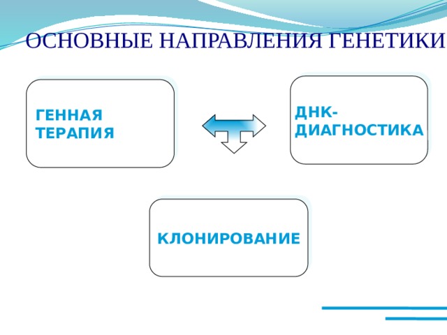 ОСНОВНЫЕ НАПРАВЛЕНИЯ ГЕНЕТИКИ ДНК-  ДИАГНОСТИКА ГЕННАЯ ТЕРАПИЯ КЛОНИРОВАНИЕ 