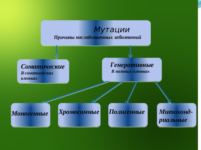  Мутации  Причины наследственных заболеваний Генеративные  В половых клетках Соматические В соматических клетках Хромосомные Полигенные Митохонд-риальные Моногенные 