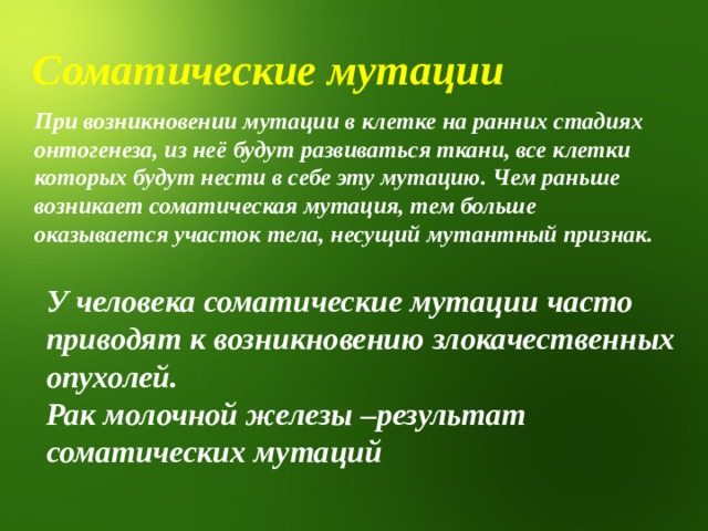    При возникновении мутации в клетке на ранних стадиях онтогенеза, из неё будут развиваться ткани, все клетки которых будут нести в себе эту мутацию. Чем раньше возникает соматическая мутация, тем больше оказывается участок тела, несущий мутантный признак.  Соматические мутации У человека соматические мутации часто приводят к возникновению злокачественных опухолей. Рак молочной железы –результат соматических мутаций 