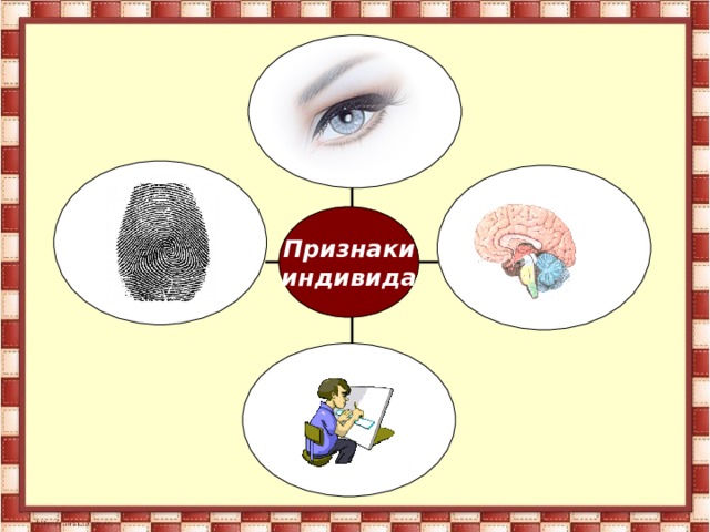 Признаки индивида 