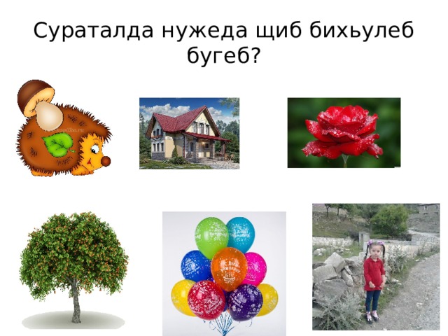 Сураталда нужеда щиб бихьулеб бугеб? 