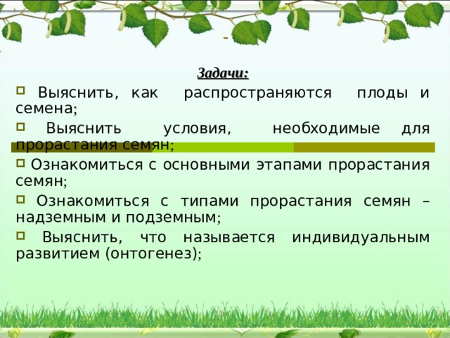 Рост это в биологии кратко. Рост определение биология. Рост это в биологии.