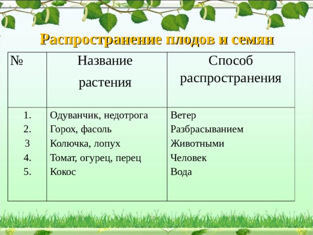 Радиационная схема разнообразных способов распространения семян у цветковых растений в природе