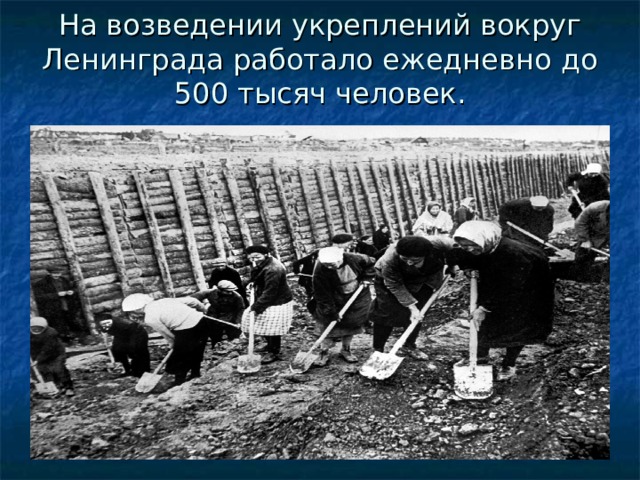 На возведении укреплений вокруг Ленинграда работало ежедневно до 500 тысяч человек.   