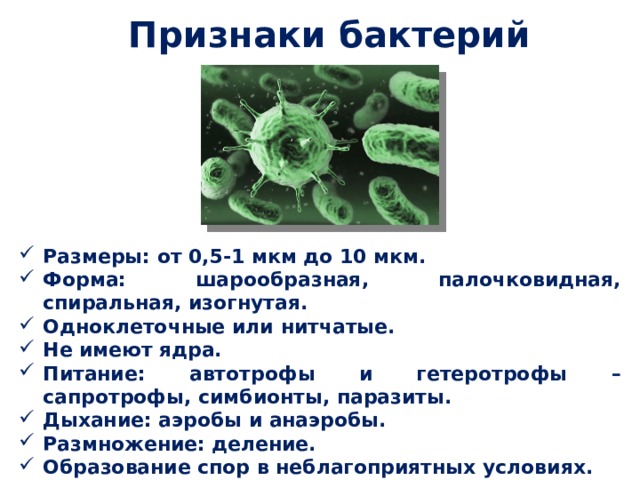 Признаки бактерий Размеры: от 0,5-1 мкм до 10 мкм. Форма: шарообразная, палочковидная, спиральная, изогнутая. Одноклеточные или нитчатые. Не имеют ядра. Питание: автотрофы и гетеротрофы – сапротрофы, симбионты, паразиты. Дыхание: аэробы и анаэробы. Размножение: деление. Образование спор в неблагоприятных условиях. 