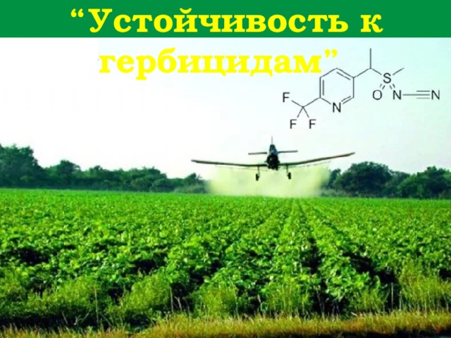“ Устойчивость к гербицидам” 