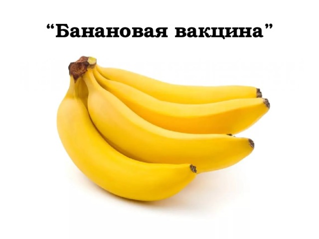 “ Банановая вакцина” 