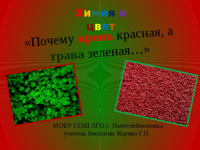 «Почему кровь красная, а трава зеленая…» Х и м и я  и  ц в е т МОБУ СОШ ЛГО с. Пантелеймоновка учитель биологии Яценко Г.П. 