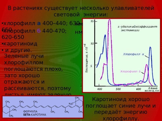 Световая энергия поглощается