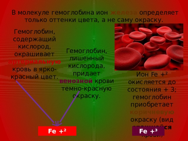  В молекуле гемоглобина ион железа определяет только оттенки цвета, а не саму окраску. Гемоглобин, содержащий кислород, окрашивает артериальную кровь в ярко-красный цвет. Гемоглобин, лишенный кислорода, придает венозной крови темно-красную окраску. Ион Fe +² окисляется до состояния + 3; гемоглобин приобретает коричневую окраску (вид спекшейся крови ) Fe +² Fe +³ 