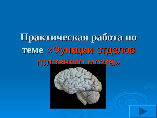 Самый маленький отдел головного мозга. Головной мозг тема 8 класс. Практическая работа по теме головной мозг 8 класс. Отделы головного мозга практическая работа 8 класс.