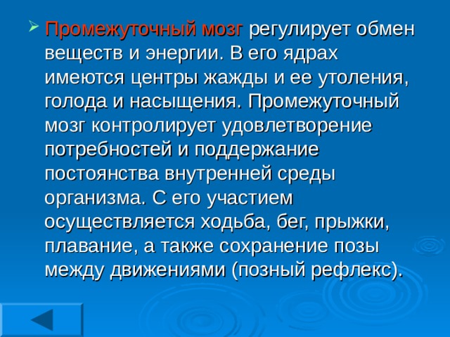 Промежуточный мозг регулирует обмен веществ и энергии. В его ядрах имеются центры жажды и ее утоления, голода и насыщения. Промежуточный мозг контролирует удовлетворение потребностей и поддержание постоянства внутренней среды организма. С его участием осуществляется ходьба, бег, прыжки, плавание, а также сохранение позы между движениями (позный рефлекс). 