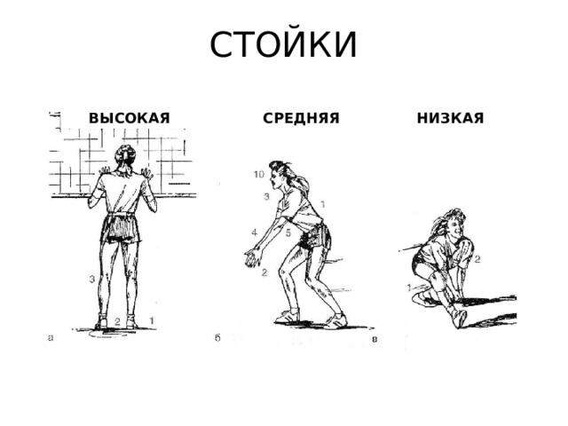 Отличия высоких людей. Стойки высокая средняя низкая. Низкая средняя высокая стойки в баскетболе. Нарисовать виды стоек со спуска: высокая, средняя и низкая.. Темп рисунок высокий, средний, низкий.