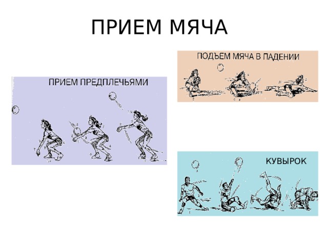 В гору бегом а с горы кувырком