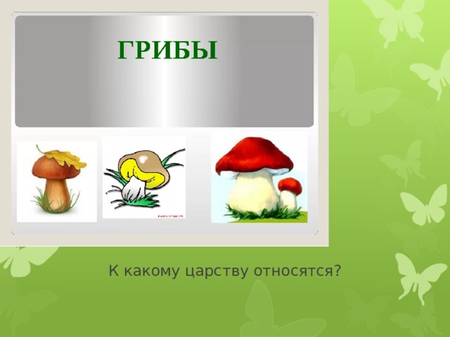 Рисунок царств природы. Царства живой природы. Грибы царство живой природы. Рисунок на тему царство живой природы. Рисунок в царстве природы.