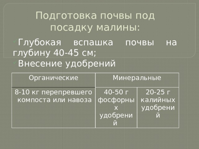 Размножения смородины малины земляники урок. img4. Размножения смородины малины земляники урок фото. Размножения смородины малины земляники урок-img4. картинка Размножения смородины малины земляники урок. картинка img4. Тема: «Размножение малины и смородины» 7 класс