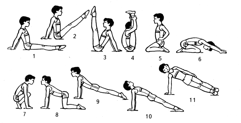 Картинки упражнений по физкультуре