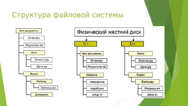 Структура файловой системы 