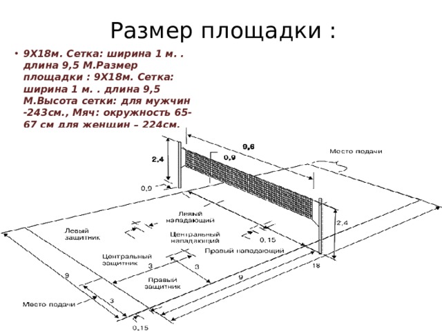 Разметка волейбольной площадки 9х18. Размеры волейбольной площадки и высота сетки. Схема волейбольной площадки с размерами.