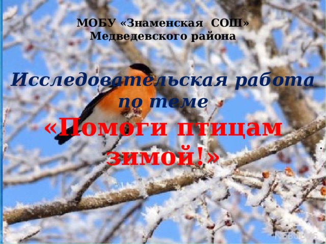 МОБУ «Знаменская СОШ»  Медведевского района    Исследовательская работа по теме  «Помоги птицам зимой!» . 