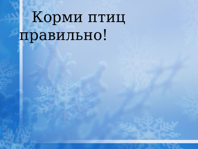   Корми птиц правильно! 