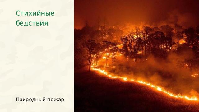 Стихийные бедствия Природный пожар  