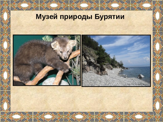 Музей природы Бурятии 