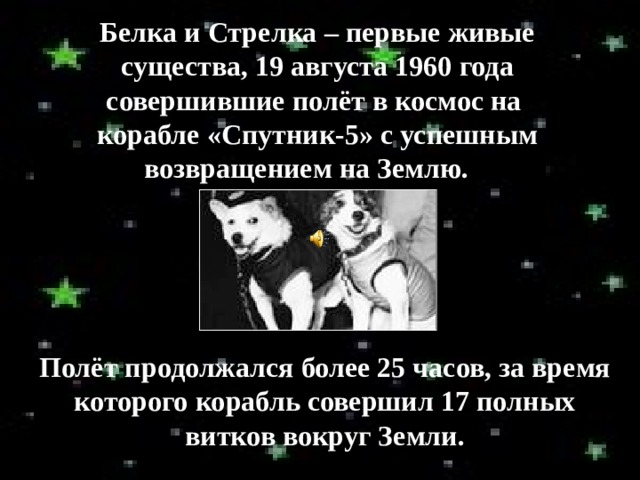 Белка и Стрелка – первые живые существа, 19 августа 1960 года совершившие полёт в космос на корабле «Спутник-5» с успешным возвращением на Землю. Полёт продолжался более 25 часов, за время которого корабль совершил 17 полных витков вокруг Земли. 