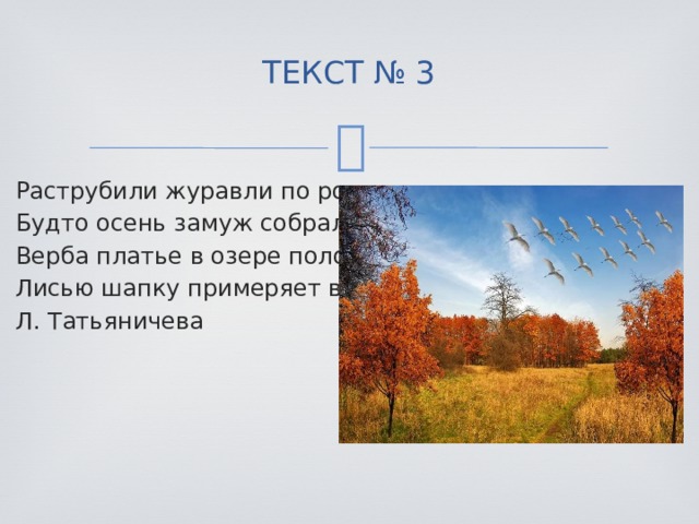 ТЕКСТ № 3   Раструбили журавли по рощам, Будто осень замуж собралась. Верба платье в озере полощет. Лисью шапку примеряет вяз. Л. Татьяничева 
