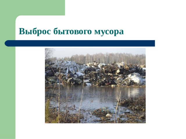 Выброс бытового мусора 