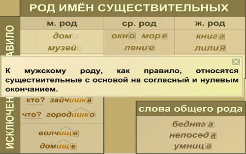 Описание какой род. Род имен существительных. Род имен существительных таблица. Слова род имен существительных. Род существительных в русском.