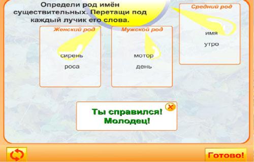 Тюль род мужской или женский. Род существительных тюль мозоль шампунь. Род. Род существительных тюль мозоль шампунь. Род существительных.