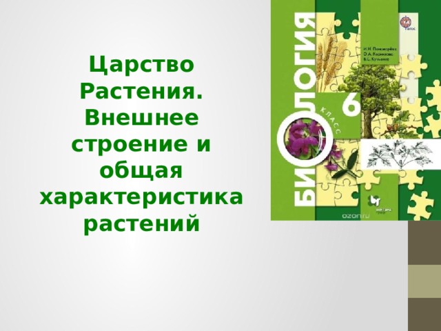 Царство Растения. Внешнее строение и общая характеристика растений 