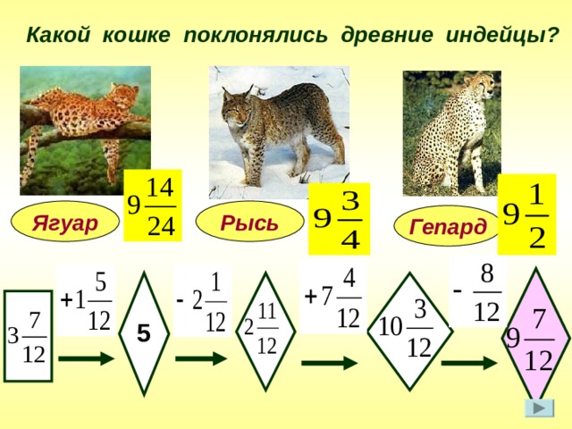 Какой кошке поклонялись древние индейцы? Рысь Ягуар Гепард 5 6 