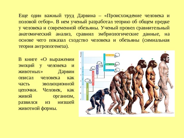 Наличие общих предков