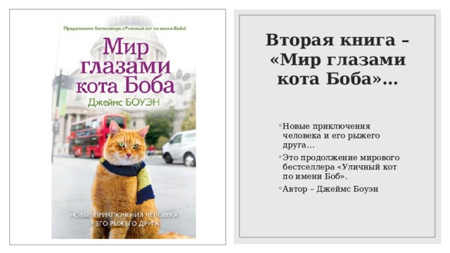 Вторая книга – «Мир глазами кота Боба»… Новые приключения человека и его рыжего друга… Это продолжение мирового бестселлера «Уличный кот по имени Боб». Автор – Джеймс Боуэн 